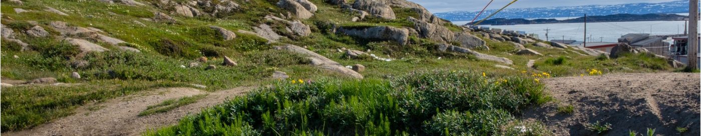 header images iqualuit scaled.jpg